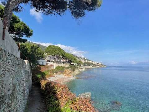 House San-Martino-di-Lota - 185m²