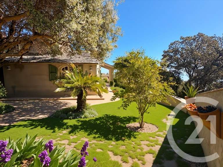 Maison avec Vue sur mer San-Martino-di-Lota - 8 chambres - 381m²