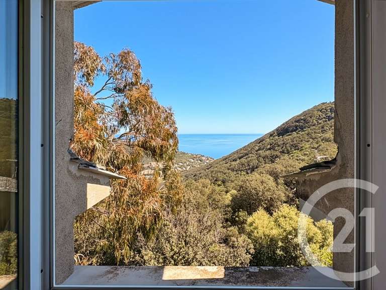 Maison avec Vue sur mer San-Martino-di-Lota - 8 chambres - 381m²