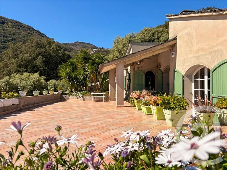 Maison avec Vue sur mer San-Martino-di-Lota - 8 chambres - 381m²