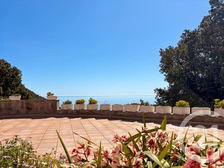 Maison avec Vue sur mer San-Martino-di-Lota - 8 chambres - 381m²