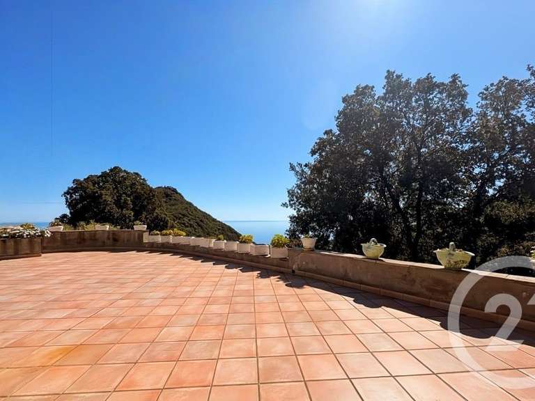 Maison avec Vue sur mer San-Martino-di-Lota - 8 chambres - 381m²