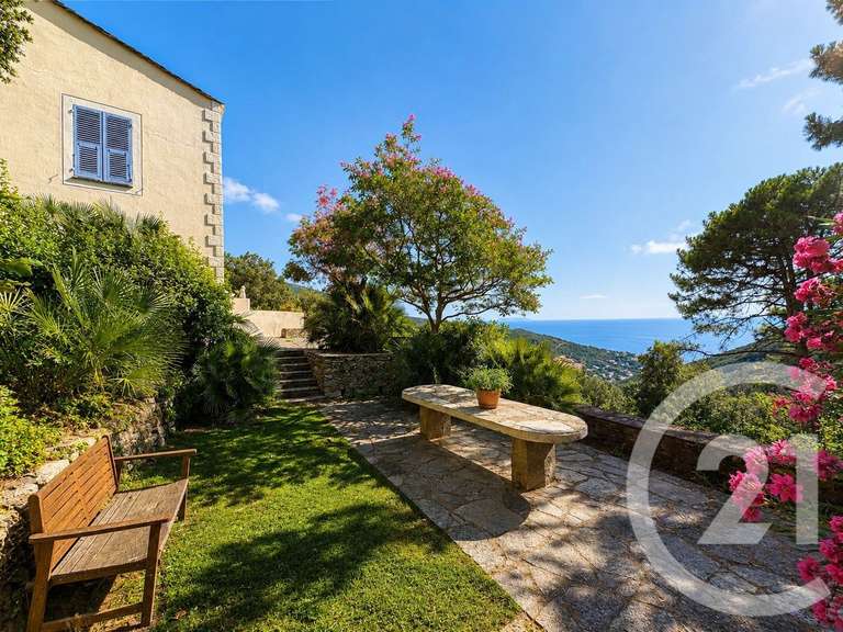 House with Sea view San-Martino-di-Lota - 5 bedrooms - 275m²