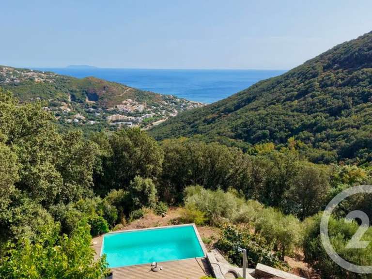 Maison avec Vue sur mer San-Martino-di-Lota - 5 chambres - 275m²