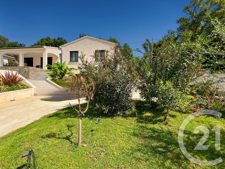 Maison San-Nicolao - 4 chambres