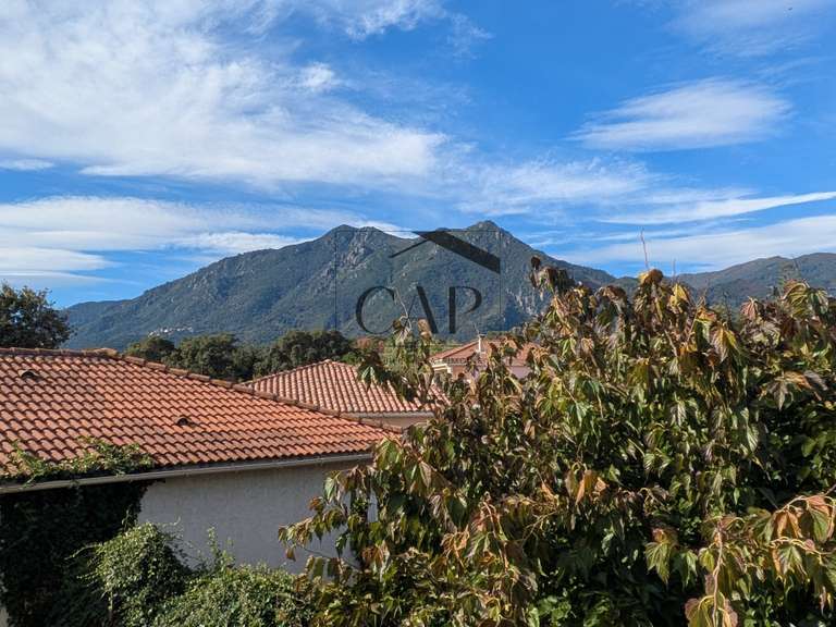 Maison San-Nicolao - 12 chambres - 351m²