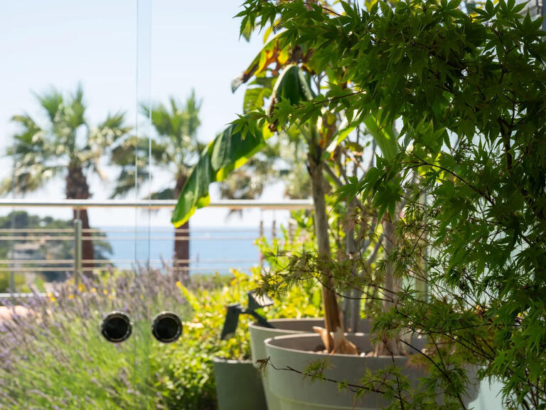 Appartement Sanary-sur-Mer - 3 chambres - 112m²