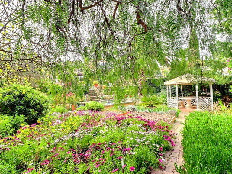 House Sanary-sur-Mer - 4 bedrooms