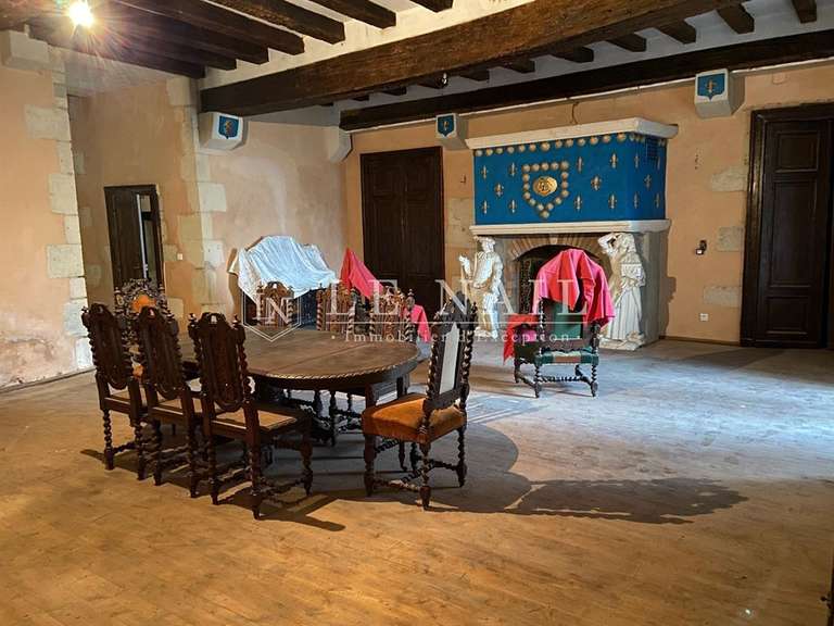 Castle Sancoins - 10 bedrooms - 870m²