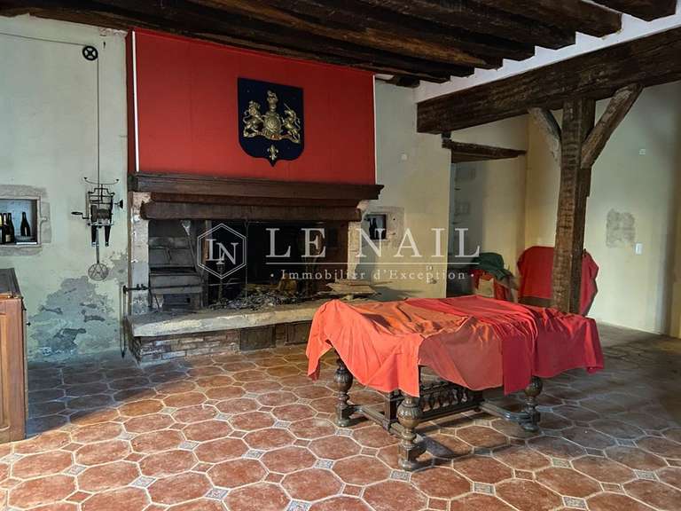 Castle Sancoins - 10 bedrooms - 870m²