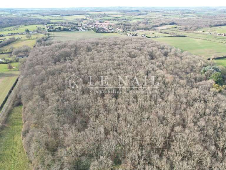 Château Sancoins - 10 chambres - 870m²