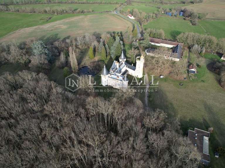 Castle Sancoins - 10 bedrooms - 870m²