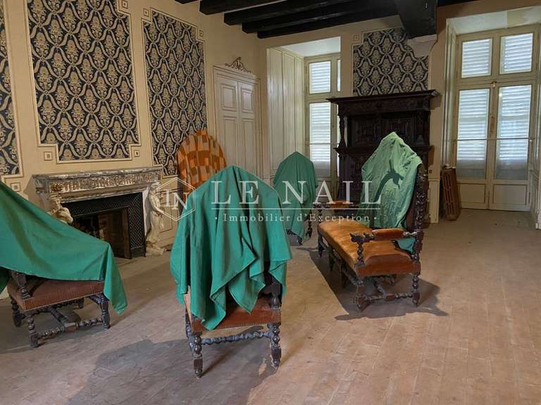 Castle Sancoins - 10 bedrooms - 870m²