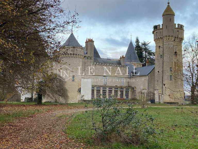 Château Sancoins - 10 chambres - 870m²