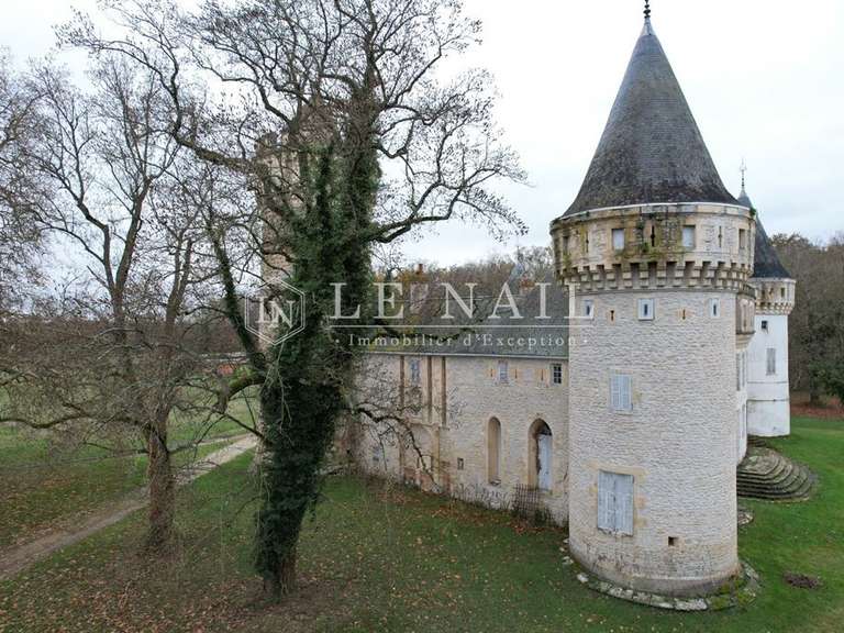 Château Sancoins - 10 chambres - 870m²