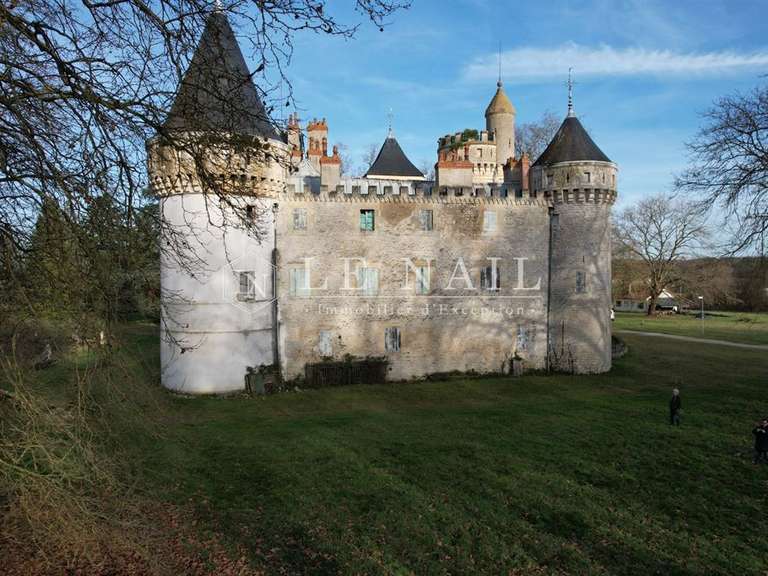 Castle Sancoins - 10 bedrooms - 870m²
