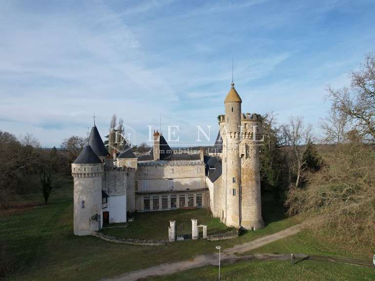 Castle Sancoins - 10 bedrooms - 870m²
