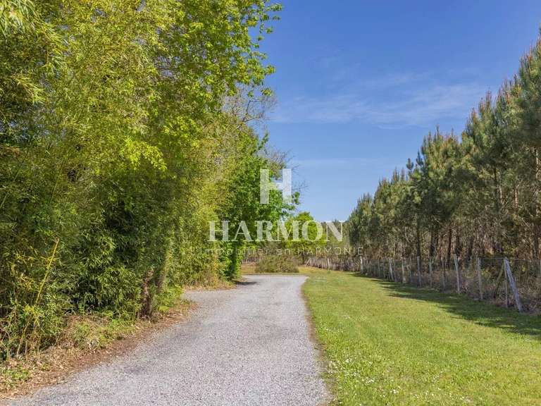 Propriété Sanguinet - 6 chambres - 500m²