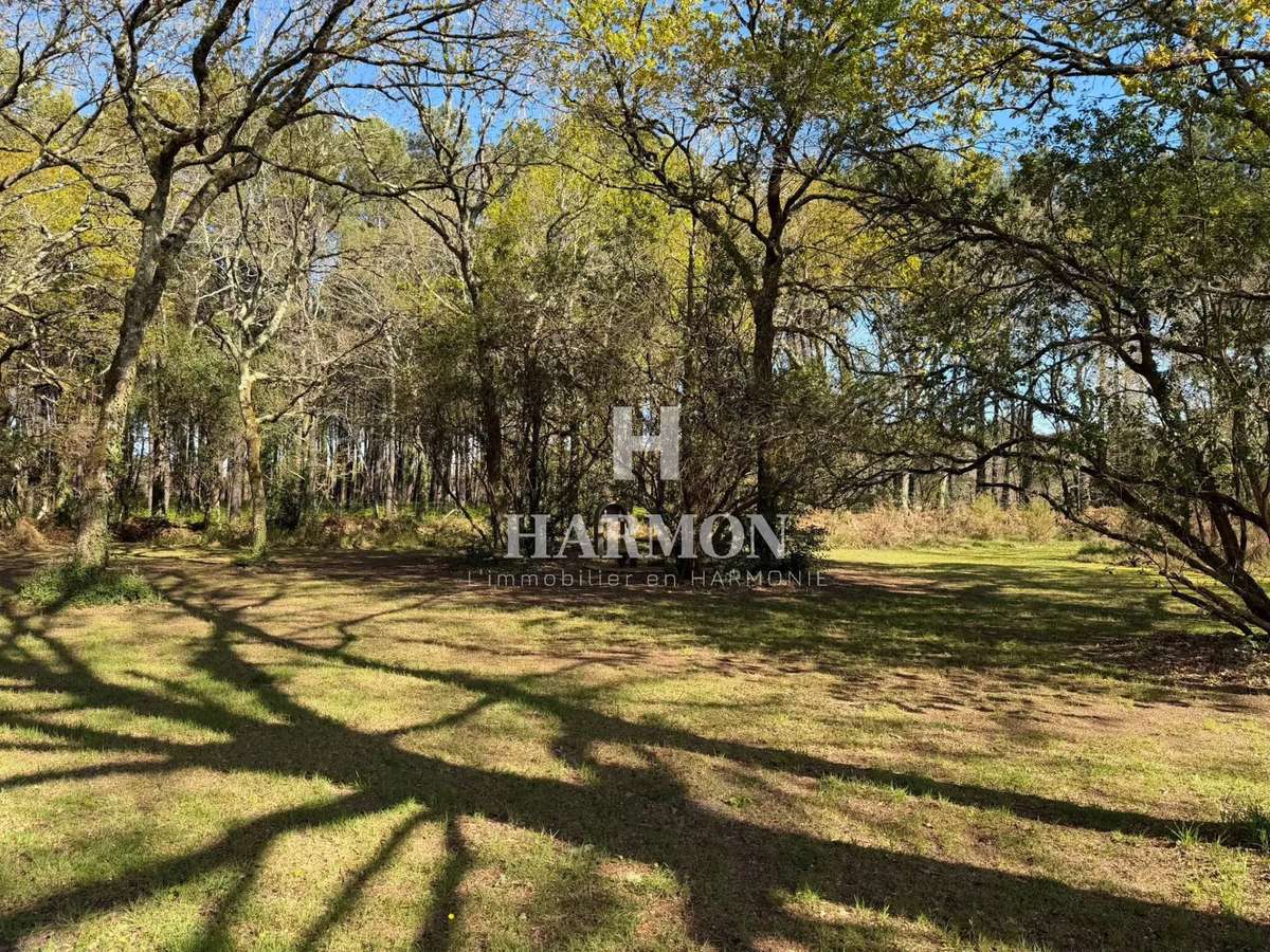 Propriété Sanguinet