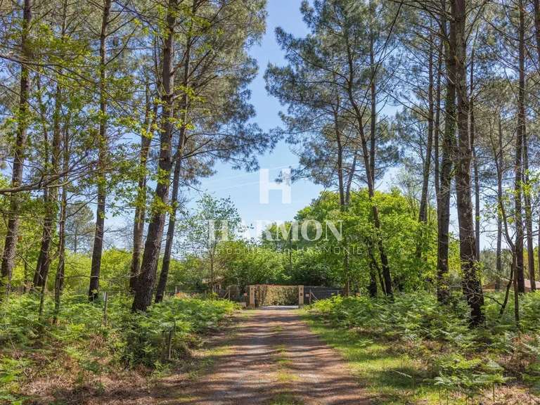 Propriété Sanguinet - 6 chambres - 500m²