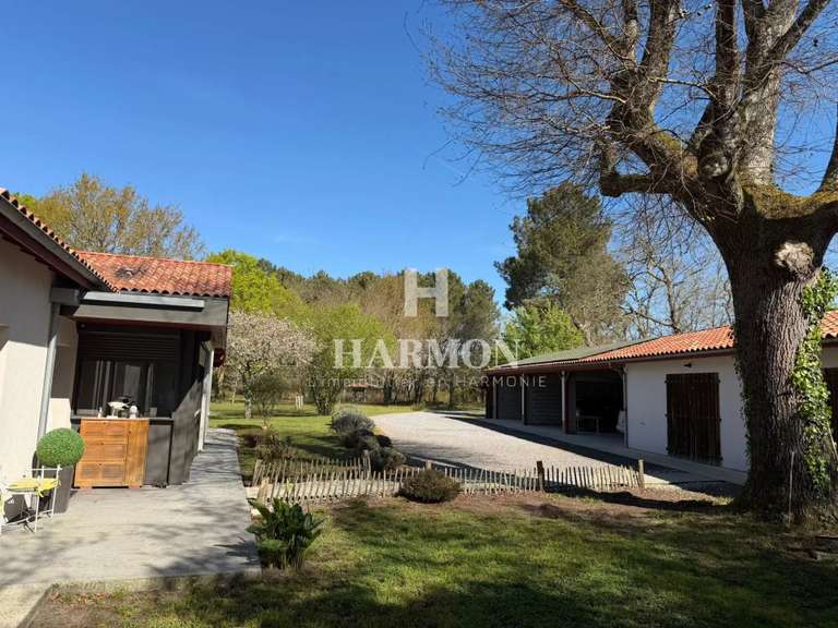 Propriété Sanguinet - 6 chambres - 500m²