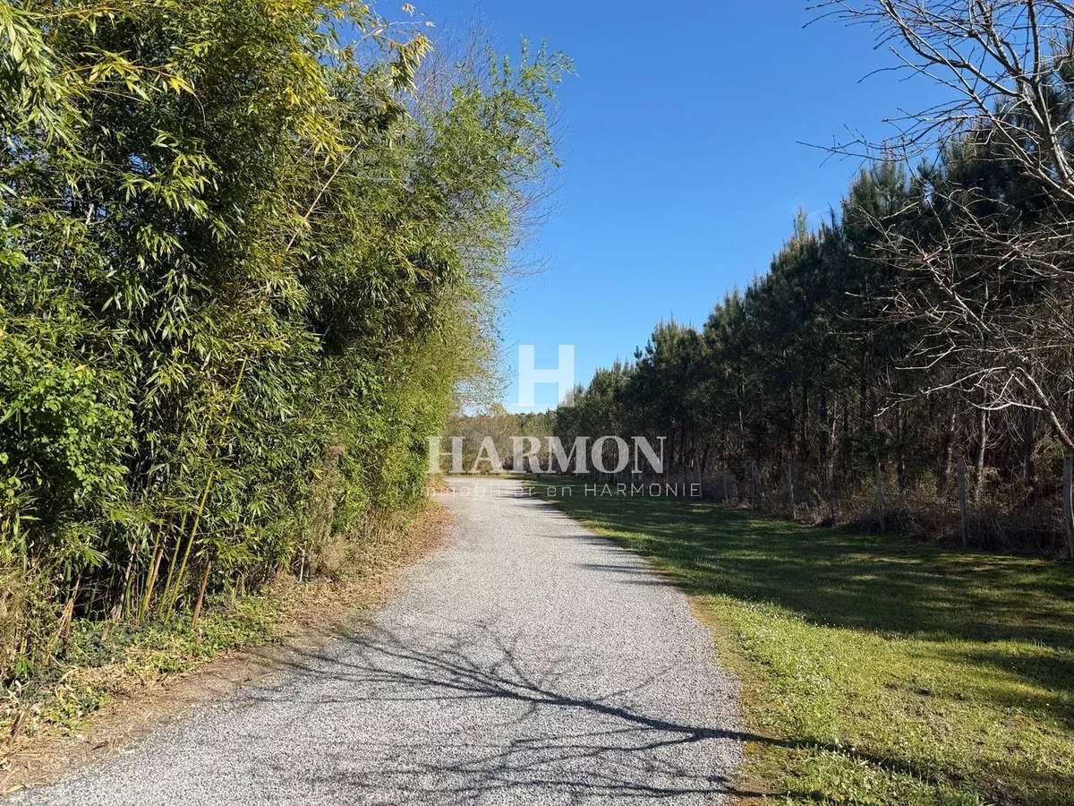 Propriété Sanguinet