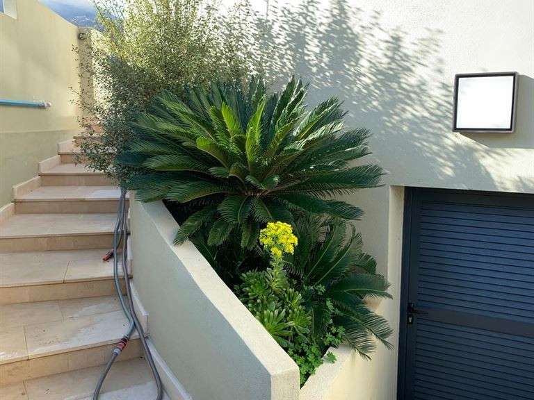 Maison Santa-Maria-di-Lota - 4 chambres - 175m²