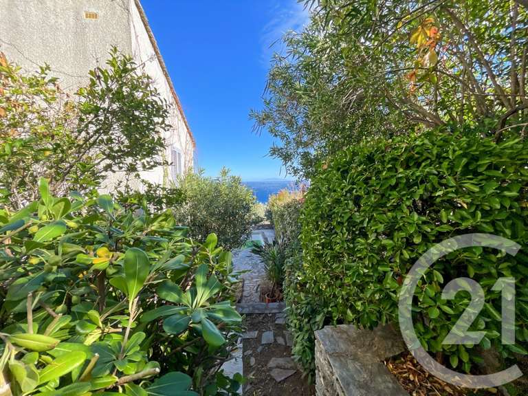 Maison Santa-Maria-di-Lota - 4 chambres - 344m²