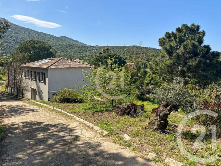 Maison Santa-Reparata-di-Balagna - 4 chambres - 122m²