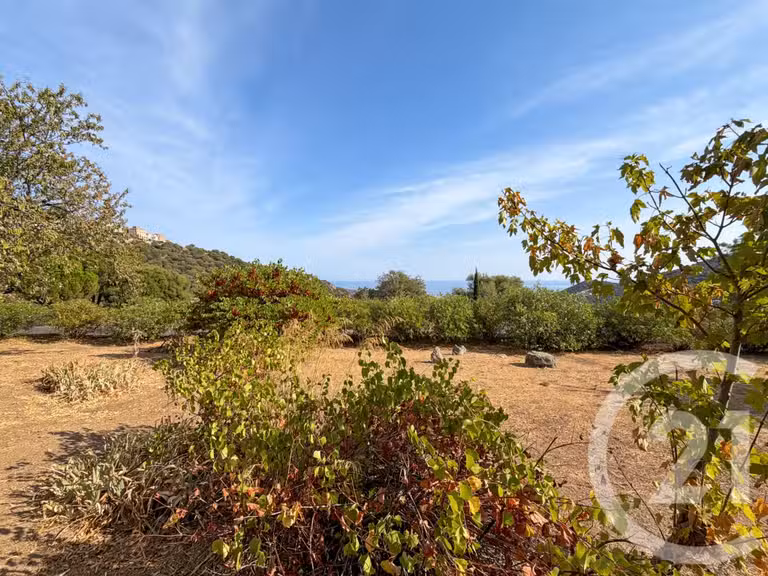 Maison avec Vue sur mer Santa-Reparata-di-Balagna - 4 chambres - 136m²