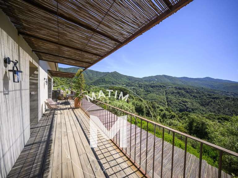 Propriété Sari-d'Orcino - 5 chambres - 318m²