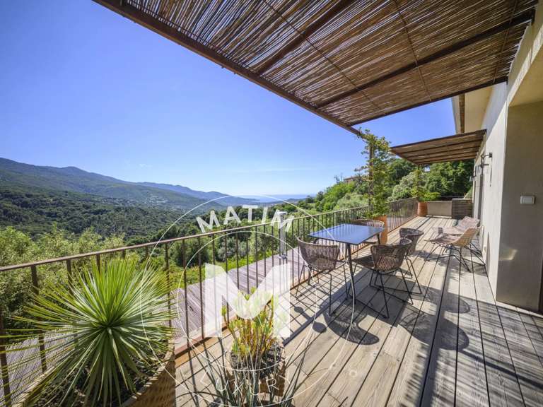 Propriété Sari-d'Orcino - 5 chambres - 318m²