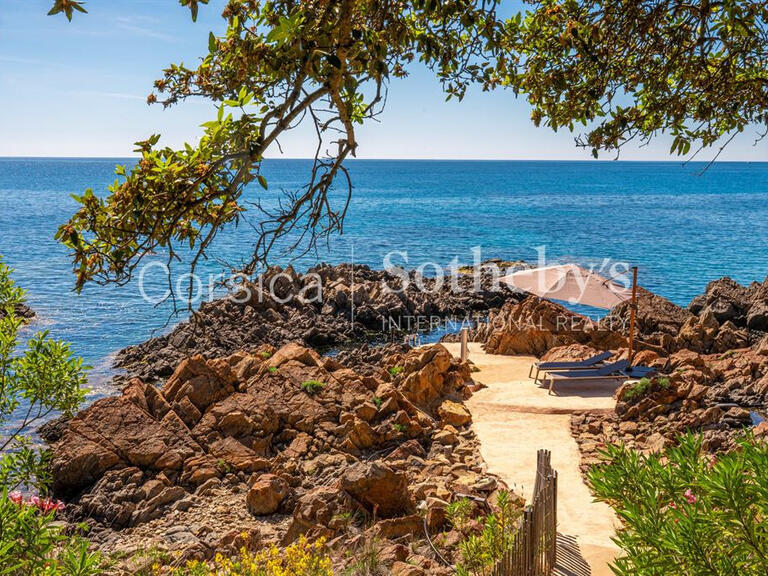 Maison Sari-Solenzara - 5 chambres - 400m²