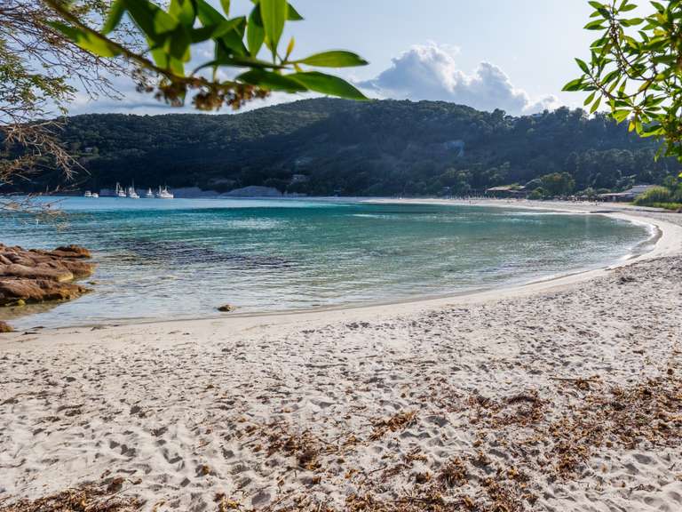 Maison avec Vue sur mer Sari-Solenzara - 7 chambres - 250m²