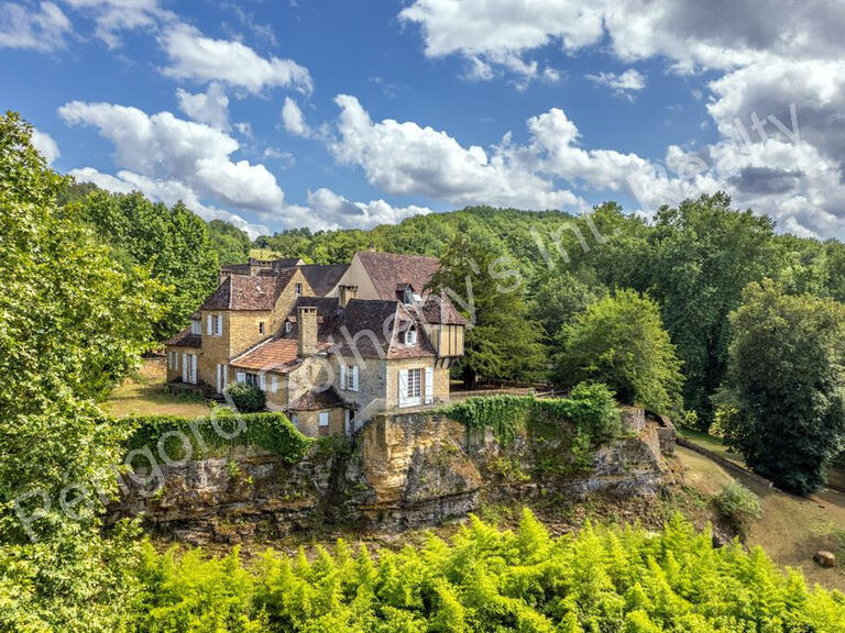 Vente Maison Sarlat-la-Canéda - 42 chambres