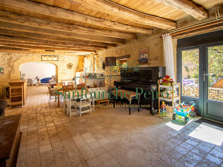 Maison Sarlat-la-Canéda - 8 chambres - 416m²