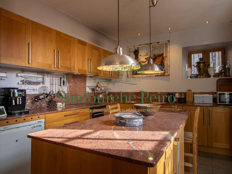 House Sarlat-la-Canéda - 4 bedrooms - 221m²