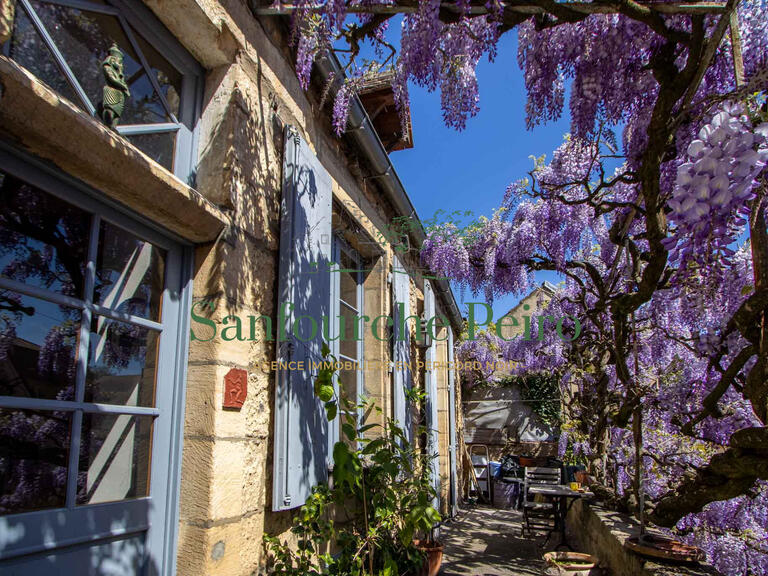 House Sarlat-la-Canéda - 4 bedrooms - 221m²