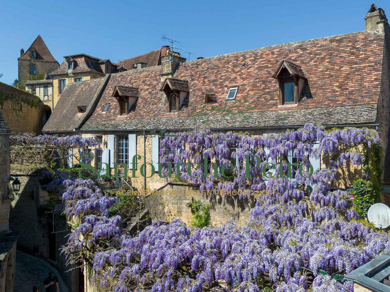 House Sarlat-la-Canéda - 4 bedrooms - 221m²
