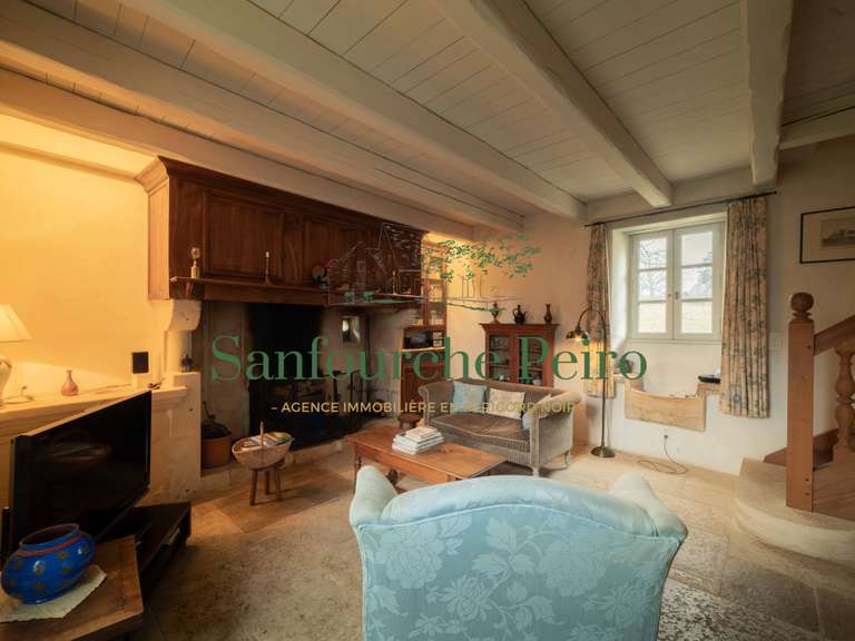 Maison Sarlat-la-Canéda - 4 chambres - 197m²