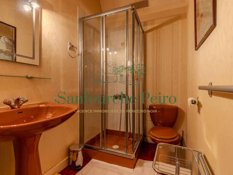 Maison Sarlat-la-Canéda - 7 chambres - 244m²