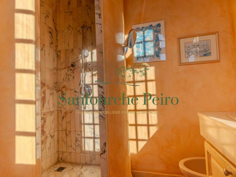 Maison Sarlat-la-Canéda - 7 chambres - 244m²