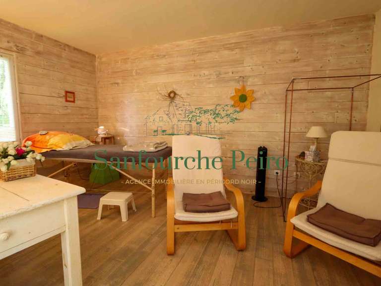 Maison Sarlat-la-Canéda - 3 chambres - 170m²