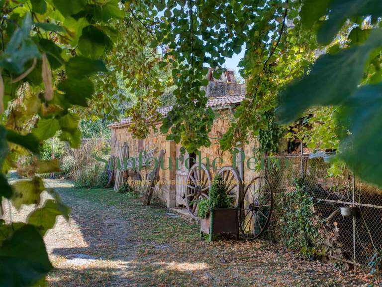 Maison Sarlat-la-Canéda - 5 chambres - 292m²