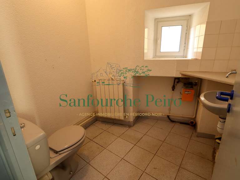 House Sarlat-la-Canéda - 213m²