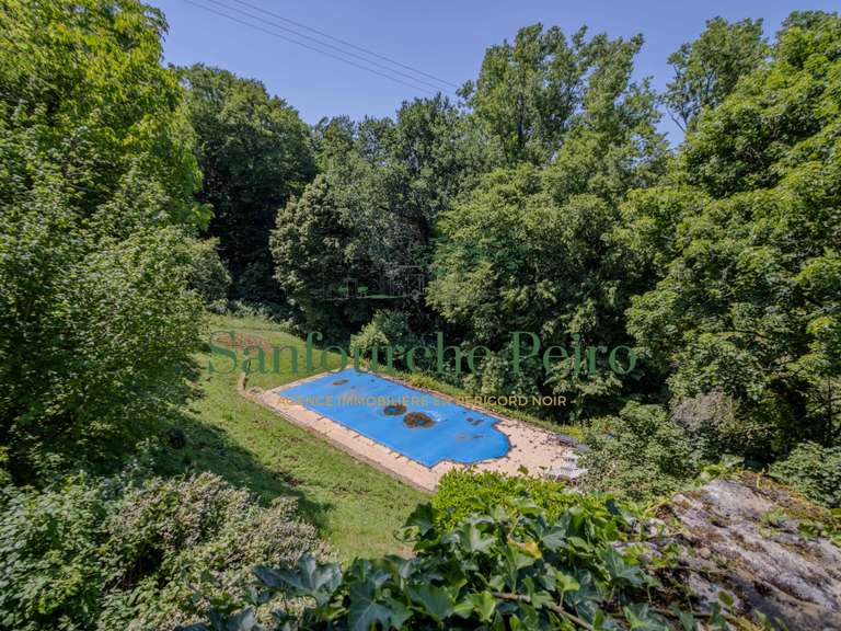 Maison Sarlat-la-Canéda - 5 chambres - 222m²