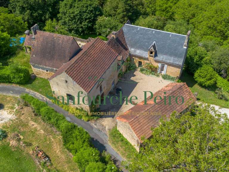 Maison Sarlat-la-Canéda - 5 chambres - 222m²