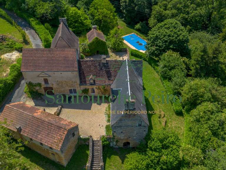 Maison Sarlat-la-Canéda - 5 chambres - 222m²