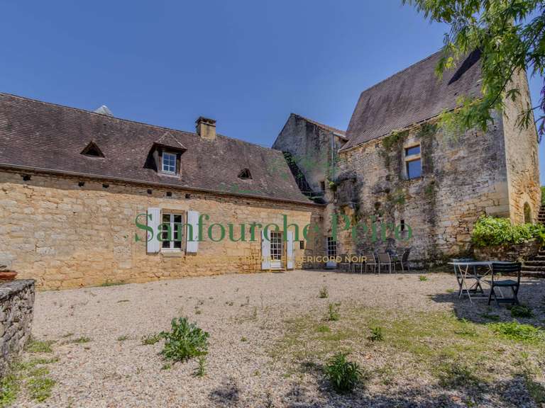 Maison Sarlat-la-Canéda - 5 chambres - 222m²