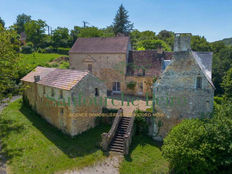 Maison Sarlat-la-Canéda - 5 chambres - 222m²